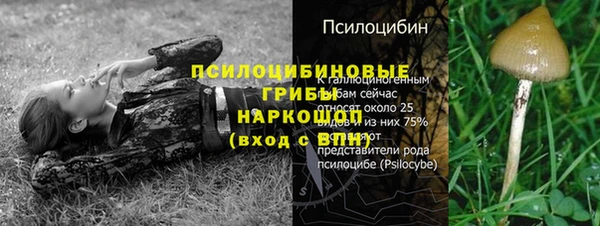экстази Алексин