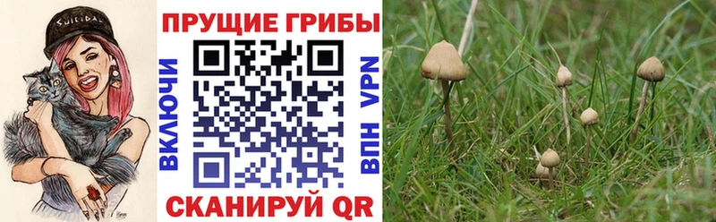Псилоцибиновые грибы прущие грибы  где найти наркотики  Мостовской 